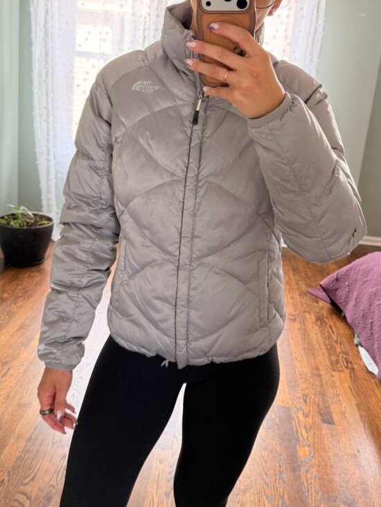 The North Face Jackets & Blazers - The North Face Metallic Silver 550-Down Filled Puffer Jacket